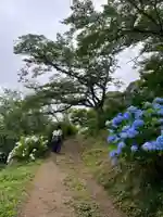 楽法寺(雨引観音)(茨城県)
