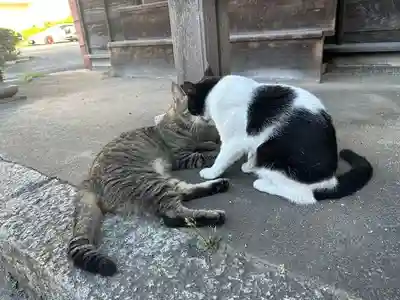 福住寺(愛知県)