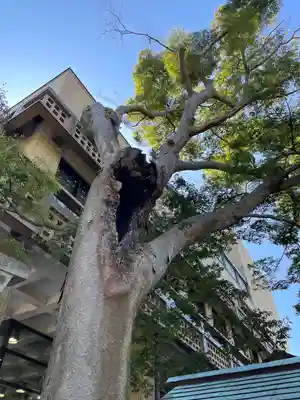 亀岡八幡宮(亀岡八幡神社)(神奈川県)