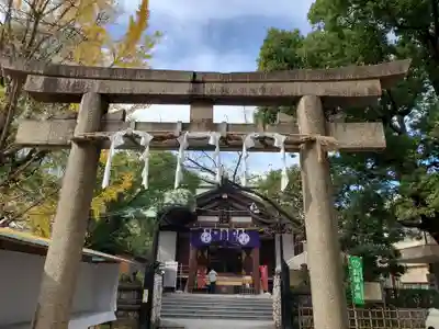 稲毛神社の鳥居