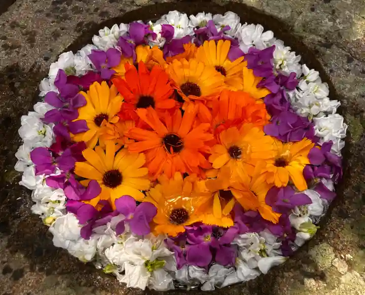 真言宗 善通寺派 薬王寺(香川県)