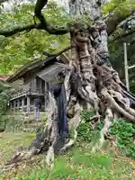 神魂伊能知奴志神社(島根県)