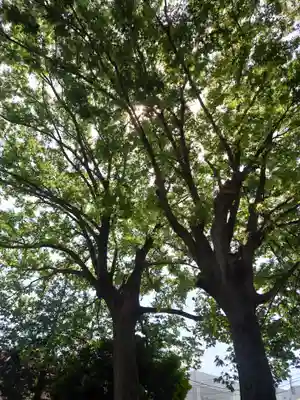 本郷神社(神奈川県)