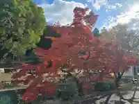 吉祥院(大阪府)