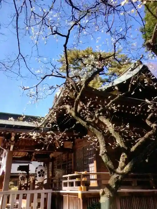 布多天神社(東京都)