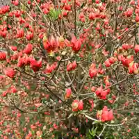豊景神社の自然