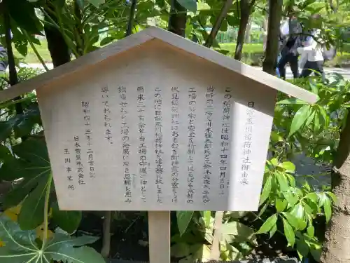 日電玉川稲荷神社の{uncategorized: "未分類", other: "その他", undefined: "問題あり", building: "その他建物", grave: "お墓", sacred_gate: "鳥居", guardian: "狛犬", statue: "像", buddha: "仏像", history: "歴史", nature: "自然", garden: "庭園", animal: "動物", pagoda: "塔", temizu: "手水舎", mountain_gate: "山門・神門", sanctuary: "本殿・本堂", subordinate: "末社・摂社", art: "芸術", scenery: "景色", jizo: "地蔵", ema: "絵馬", goshuin: "御朱印", omikuji: "おみくじ", items: "授与品その他", amulet: "お守り", goshuincho: "御朱印帳", eats: "食事", festival: "お祭り", votive_dance: "神楽", shichigosan: "七五三参", wedding: "結婚式", experience: "体験その他", initially: "初詣", around: "周辺", anti_infection: "感染症対策"}