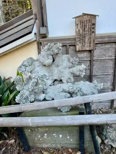 目の霊山　油山寺(静岡県)