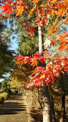 塩船観音寺の自然