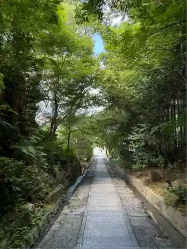 高台寺（高台寿聖禅寺・高臺寺）(京都府)