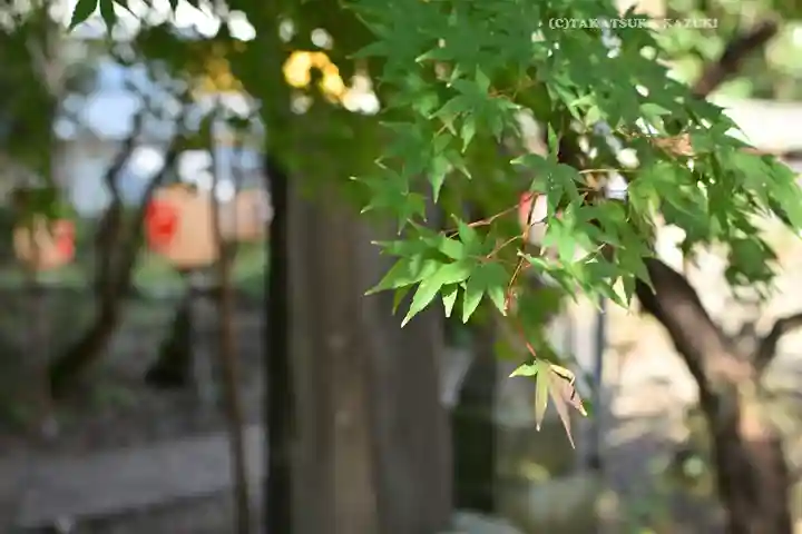 前原御嶽神社(千葉県)