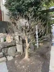 小野照崎神社(東京都)