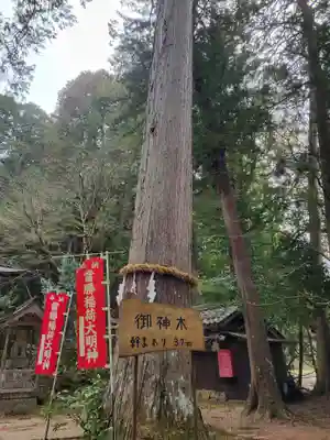 當勝神社(兵庫県)