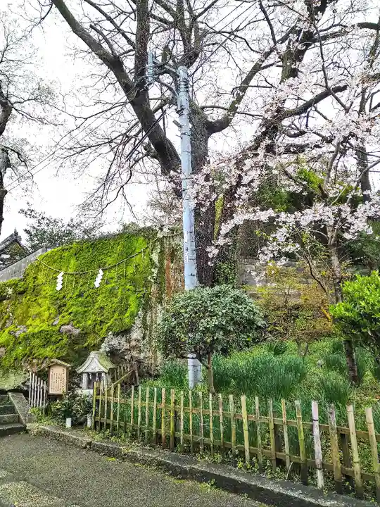 阿智神社の自然