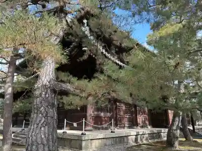 大徳寺(京都府)