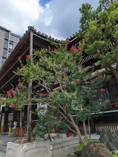 本能寺(京都府)