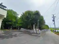 神明社(小間町)の自然