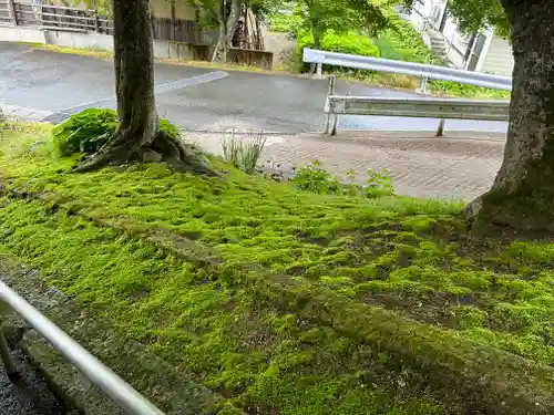 珍蔵寺　(山形県)