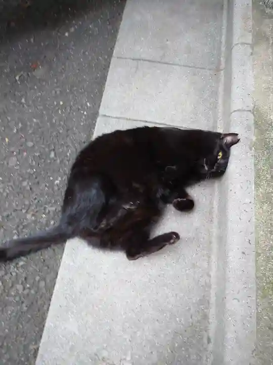 小野照崎神社の動物