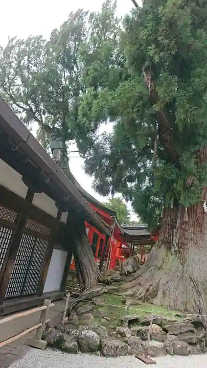 春日大社のその他建物