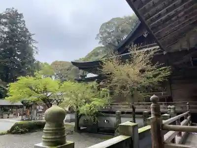 大水上神社(香川県)