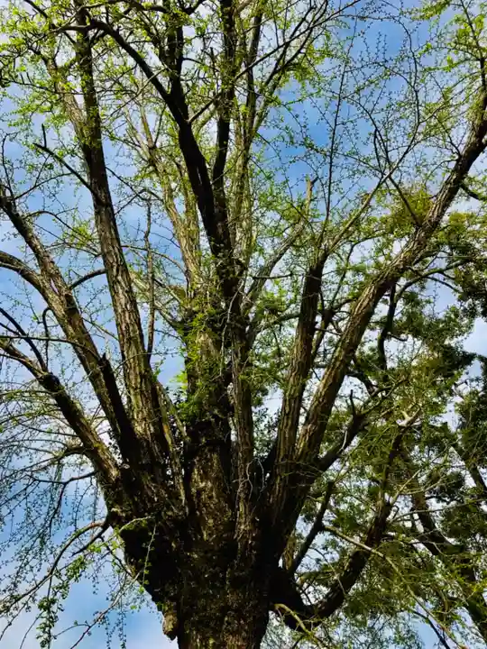 千勝神社(茨城県)