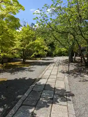 光明寺（粟生光明寺）(京都府)
