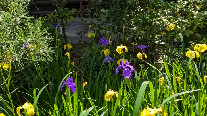 宝蔵寺(京都府)