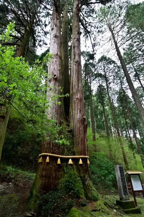 御岩神社の自然