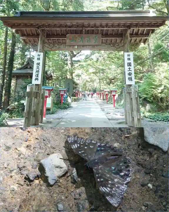 高尾山薬王院の山門・神門