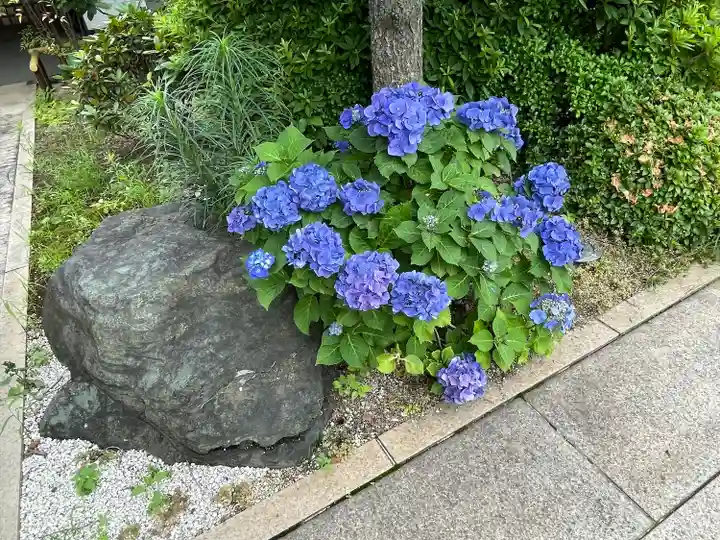 常在寺(東京都)
