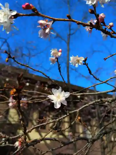 金剛院(東京都)