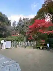 岡寺（龍蓋寺）(奈良県)