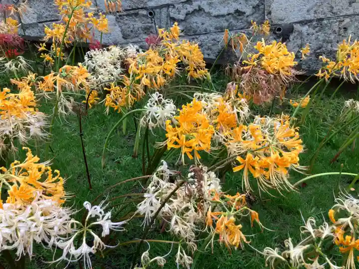 横浜 西方寺(神奈川県)