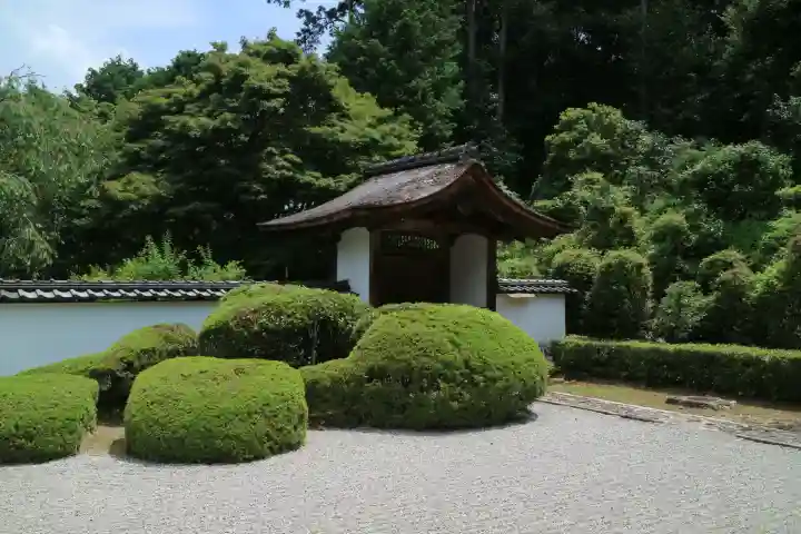 正伝護国禅寺(正伝寺・正傳寺)(京都府)