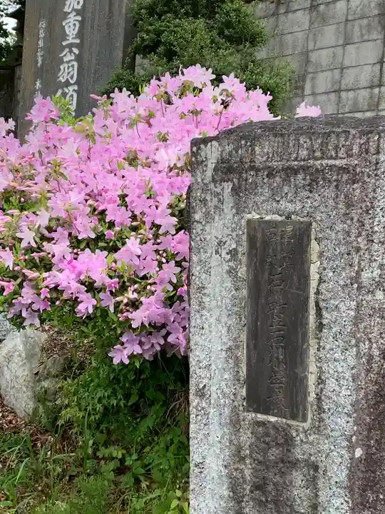 近津神社のその他建物