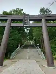 函館八幡宮の鳥居