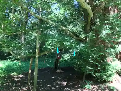 伊佐須美神社(福島県)