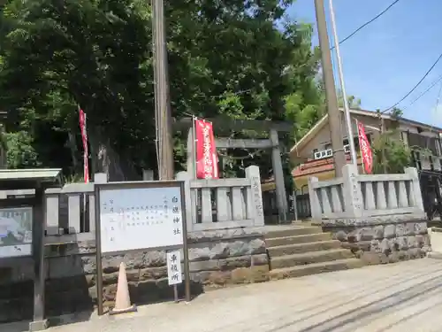 白旗神社（平戸白旗神社）(神奈川県)