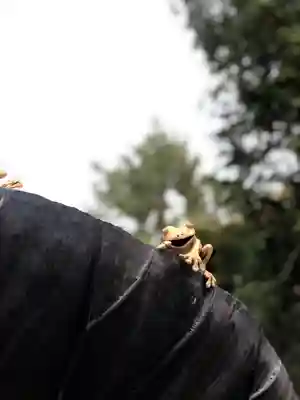 尾山神社のその他建物