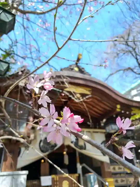 子安神社(東京都)