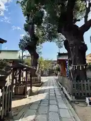 阿倍王子神社(大阪府)