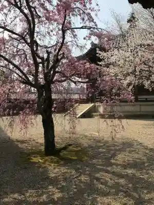 法隆寺 西円堂の{uncategorized: "未分類", other: "その他", undefined: "問題あり", building: "その他建物", grave: "お墓", sacred_gate: "鳥居", guardian: "狛犬", statue: "像", buddha: "仏像", history: "歴史", nature: "自然", garden: "庭園", animal: "動物", pagoda: "塔", temizu: "手水舎", mountain_gate: "山門・神門", sanctuary: "本殿・本堂", subordinate: "末社・摂社", art: "芸術", scenery: "景色", jizo: "地蔵", ema: "絵馬", goshuin: "御朱印", omikuji: "おみくじ", items: "授与品その他", amulet: "お守り", goshuincho: "御朱印帳", eats: "食事", festival: "お祭り", votive_dance: "神楽", shichigosan: "七五三参", wedding: "結婚式", experience: "体験その他", initially: "初詣", around: "周辺", anti_infection: "感染症対策"}