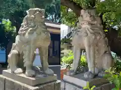 旗岡八幡神社の狛犬