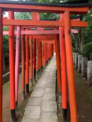 根津神社の鳥居