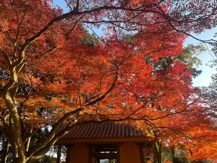 大興善寺(佐賀県)