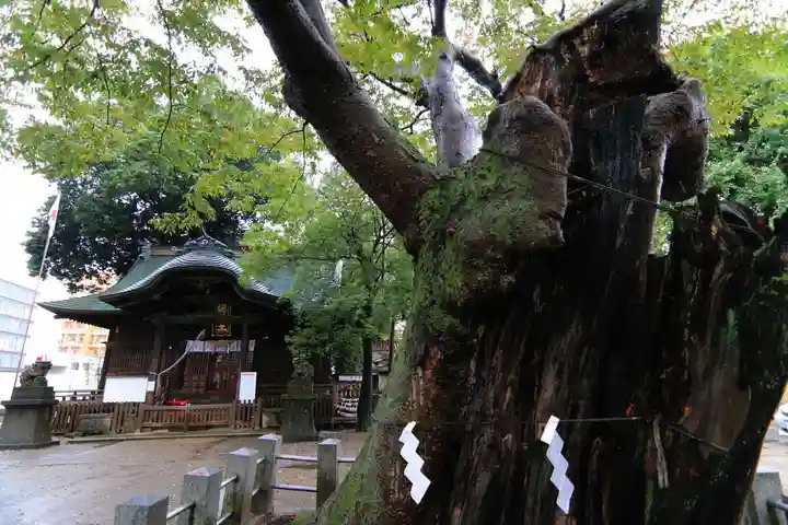 阿邪訶根神社の本殿・本堂