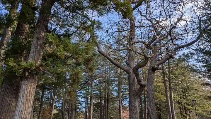 北海道神宮の自然