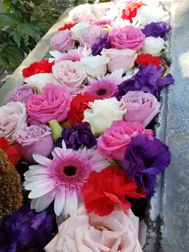 本郷氷川神社(東京都)