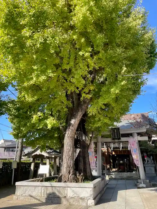 飛木稲荷神社(東京都)